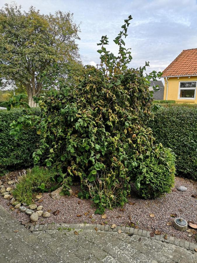 Safine B&B Faborg Bagian luar foto